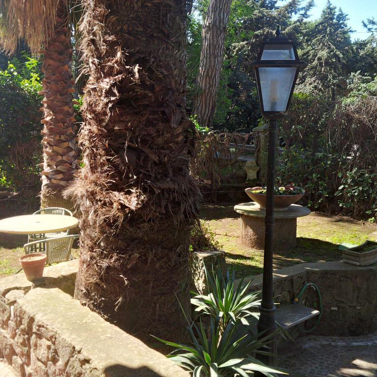 Princess B&B Frascati Exterior foto